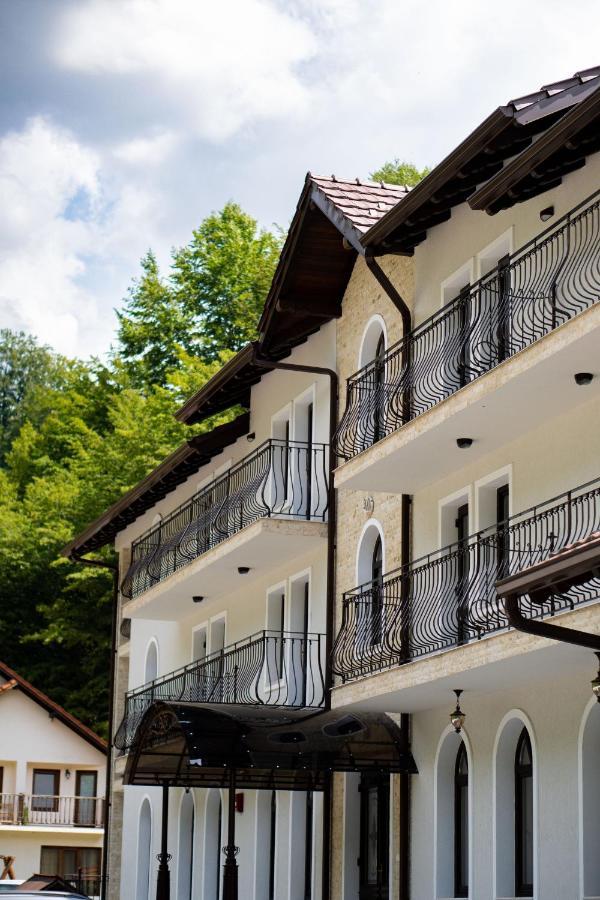Perla Dacilor Hotel Gradistea de Munte Exterior photo